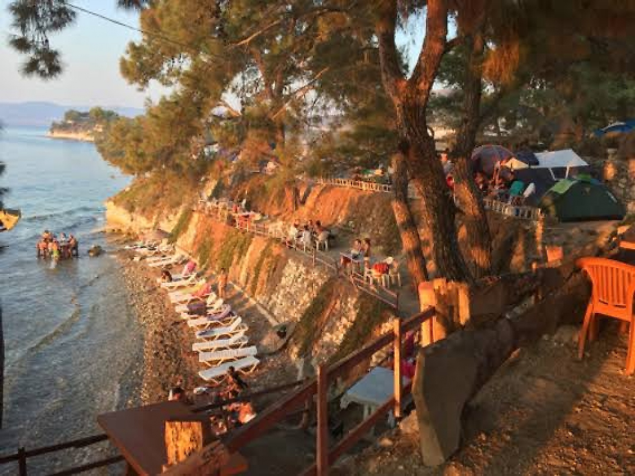 Çam Camping: Dikili'de Denize Sıfır Çam ve Zeytin Ağaçları Arasında Kamp Keyfi