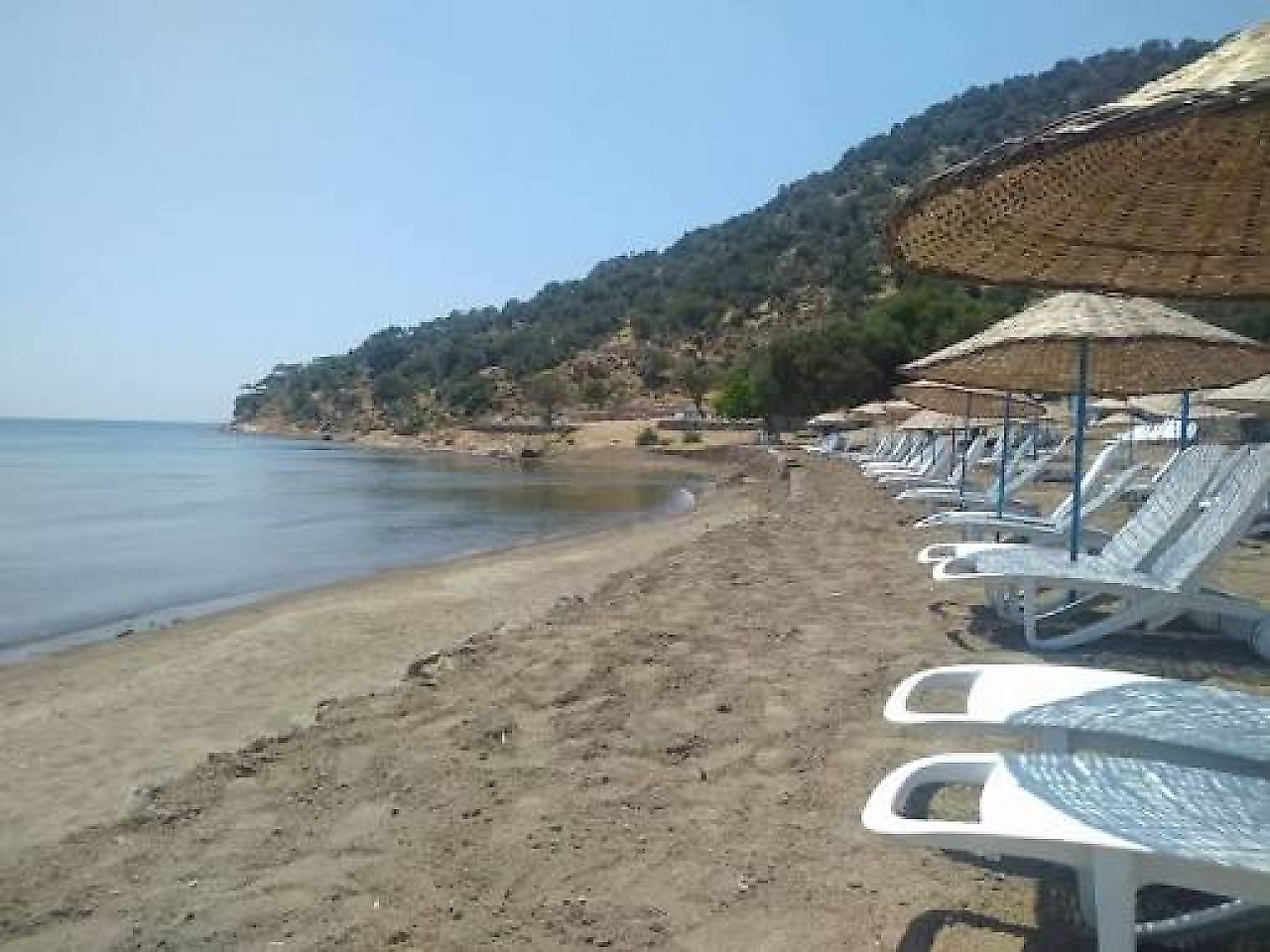 EOS Kamping & Cafe: Dikili Denizköy'de Denize Sıfır Kamp Keyfi