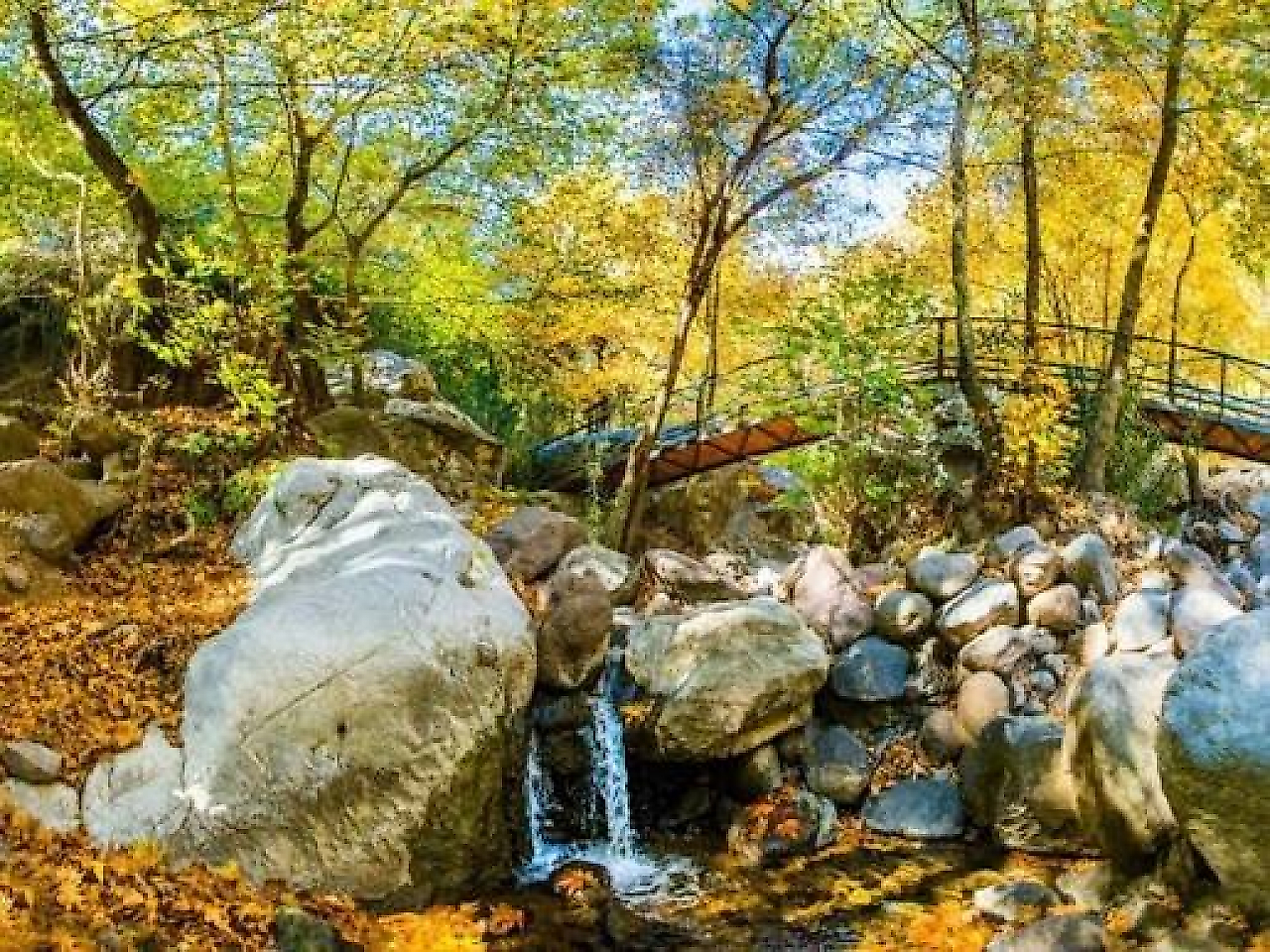 Homeros Vadisi Kamp Alanı: Bornova'da Doğayla İç İçe Huzurlu Bir Kamp Deneyimi