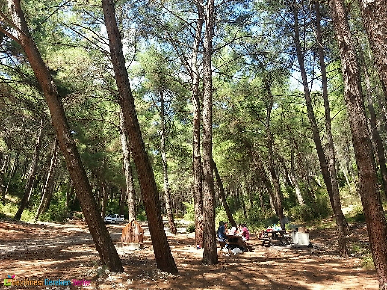 Sasalı Piknik Alanı: Çiğli'de Doğayla İç İçe Kamp ve Piknik Keyfi