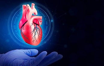 65 yaş sonrası kalp sağlığını korumak için 7 önemli öneri