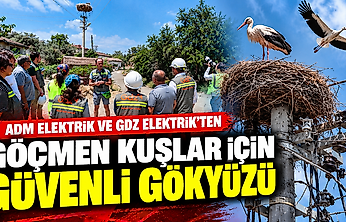 Adm ve Gdz Elektrik'ten göçmen kuşlara güvenli gökyüzü: Riskli alanlar belirlenecek