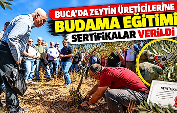 Buca'da zeytin üreticilerine budama eğitimi: Sertifikalar verildi