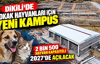 Dikili'de 2 bin 500 hayvan kapasiteli kampüs 2027'de açılacak