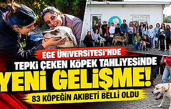 Ege Üniversitesi'nde tepki çeken köpek tahliyesinde yeni gelişme! 83 köpeğin akıbeti belli oldu
