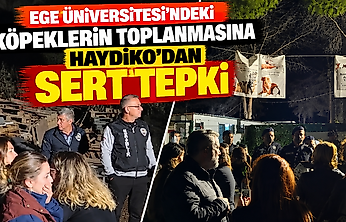 Ege Üniversitesi'ndeki köpeklerin toplanmasına HAYDİKO'dan sert tepki