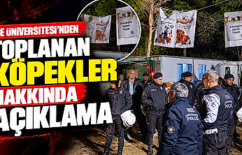 Ege Üniversitesi'nden toplanan köpekler hakkında açıklama