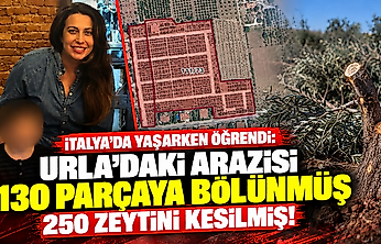İtalya'da yaşarken öğrendi: Urla'daki arazisi 130 parçaya bölünmüş, 250 zeytini kesilmiş!