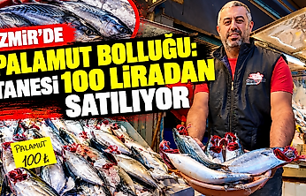 İzmir'de palamut bolluğu: Tanesi 100 liradan satılıyor