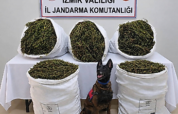 İzmir'de uyuşturucu operasyonu: 54 kilo 800 gram esrar ele geçirildi, 3 kişi tutuklandı