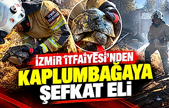 İzmir'de yangın söndü, geriye bu kurtuluş hikâyesi kaldı