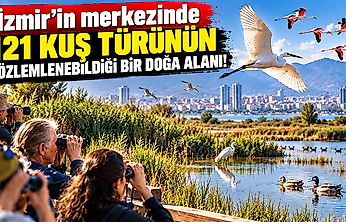 İzmir'in merkezinde 121 kuş türü: Çakalburnu'nda ücretsiz gözlem fırsatı