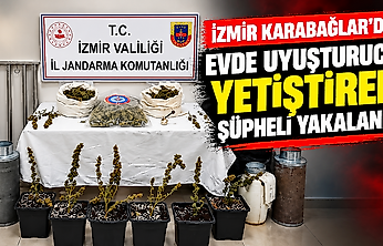 İzmir Karabağlar'da evde uyuşturucu yetiştiren şüpheli yakalandı
