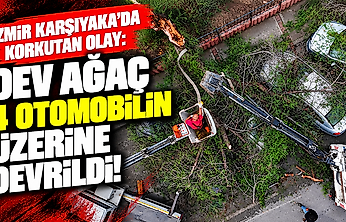 İzmir Karşıyaka'da korkutan olay: Dev ağaç 4 otomobilin üzerine devrildi!