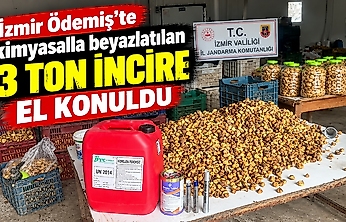 İzmir Ödemiş'te kimyasalla beyazlatılan 3 ton incire el konuldu