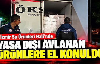 İzmir Su Ürünleri Hali'nde yasa dışı avlanan ürünlere el konuldu