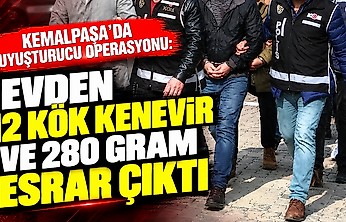 Kemalpaşa'da uyuşturucu operasyonu: Evden 12 kök kenevir ve 280 gram esrar çıktı