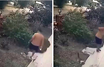 Köpeğini gezdirirken yavrulu kediye tekme attı: O anlar kamerada