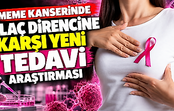 Meme kanserinde ilaç direncine karşı yeni tedavi araştırması