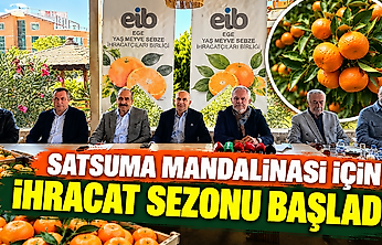Satsuma mandalinası için ihracat sezonu başladı!