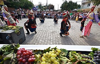 Selçuk'un coğrafi işaretli Osmancık üzümü Gökçealan'da vitrine çıktı