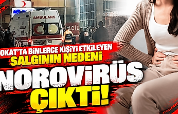 Tokat'ta binlerce kişiyi etkileyen salgının nedeni norovirüs çıktı