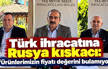 Türk ihracatına Rusya kıskacı: 'Ürünlerimizin fiyatı değerini bulamıyor'