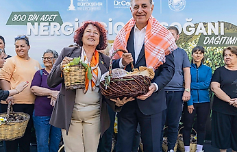 Türkiye'deki her dört nergisten biri Karaburun'dan