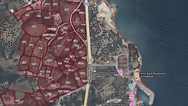 İnecik'te zeytinlik alarmı! Parselasyon planına tepki büyüyor: 'Doğa alanları korunmalı'