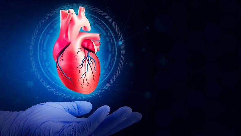 65 yaş sonrası kalp sağlığını korumak için 7 önemli öneri