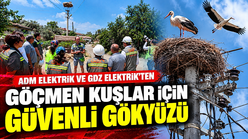 Adm ve Gdz Elektrik'ten göçmen kuşlara güvenli gökyüzü: Riskli alanlar belirlenecek