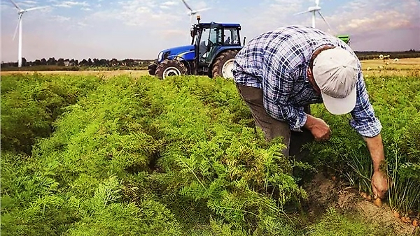 Çiftçinin alın teri akaryakıt zamları yüzünden buharlaşacak: Böyle giderse çiftçi tarlaya gidemez