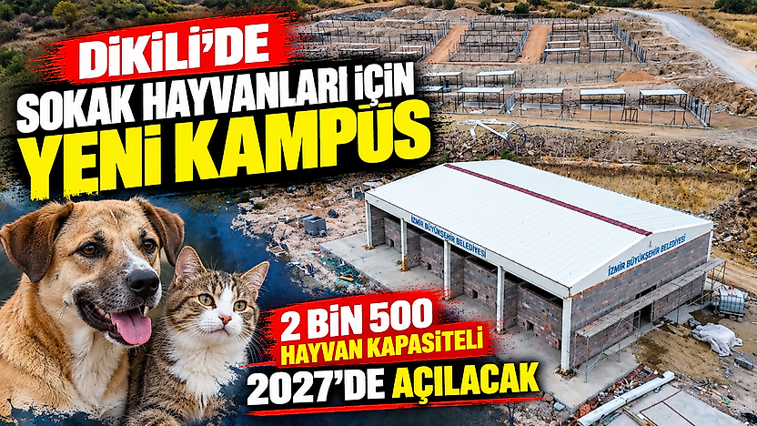 Dikili'de 2 bin 500 hayvan kapasiteli kampüs 2027'de açılacak