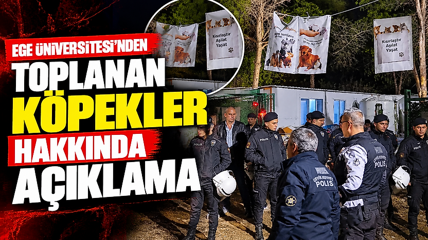 Ege Üniversitesi'nden toplanan köpekler hakkında açıklama