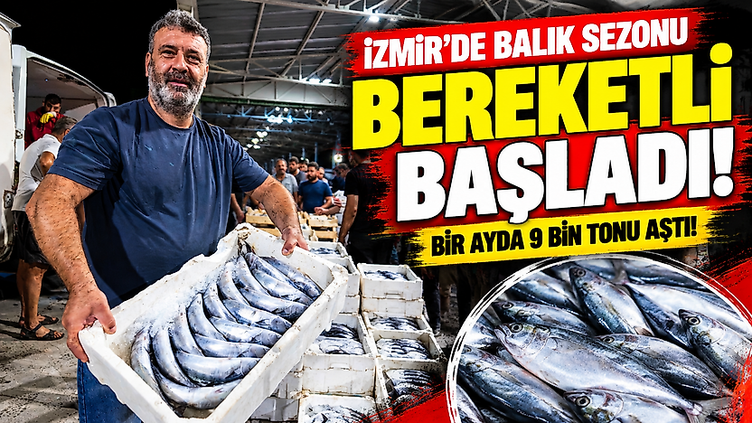 İzmir'de balık sezonu bereketli başladı: Bir ayda 9 bin tonu aştı!
