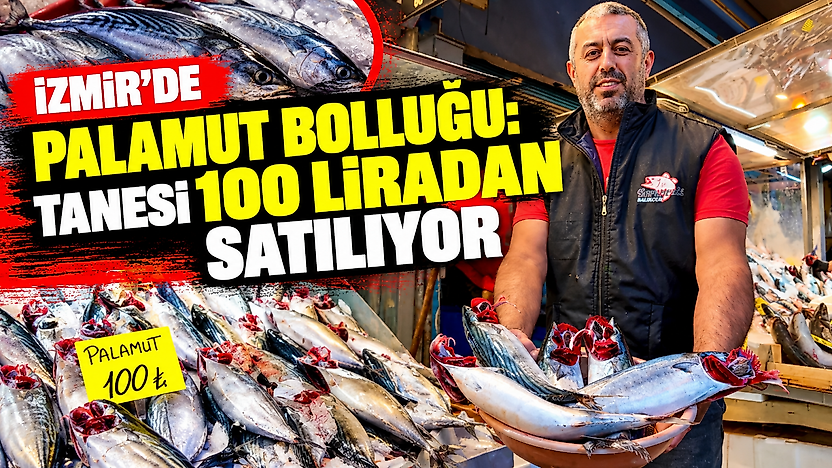 İzmir'de palamut bolluğu: Tanesi 100 liradan satılıyor