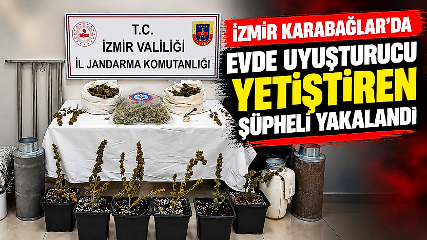 İzmir Karabağlar'da evde uyuşturucu yetiştiren şüpheli yakalandı