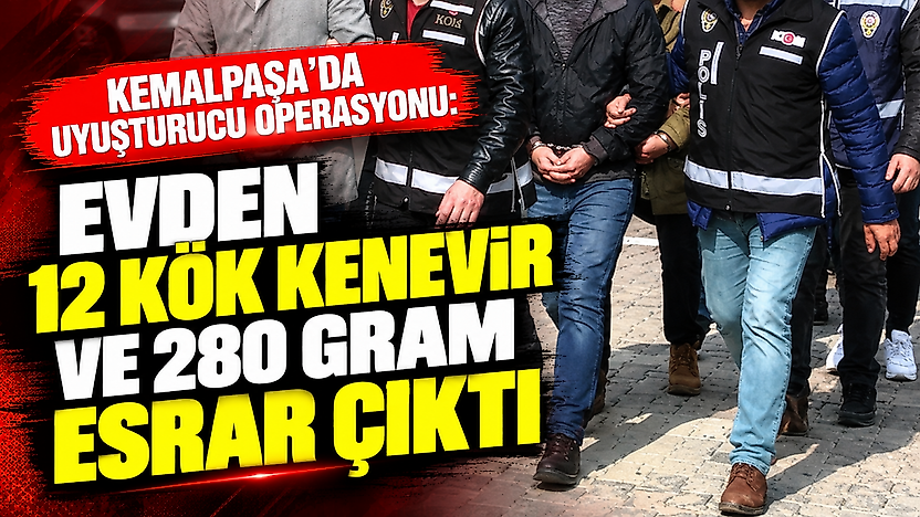 Kemalpaşa'da uyuşturucu operasyonu: Evden 12 kök kenevir ve 280 gram esrar çıktı