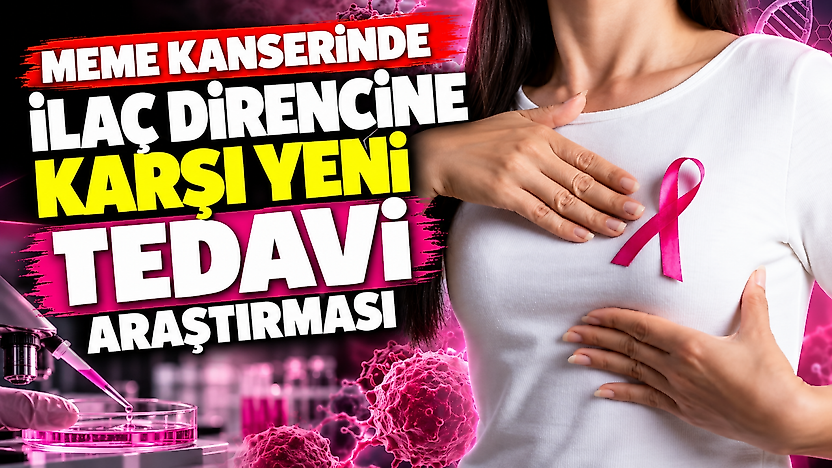 Meme kanserinde ilaç direncine karşı yeni tedavi araştırması
