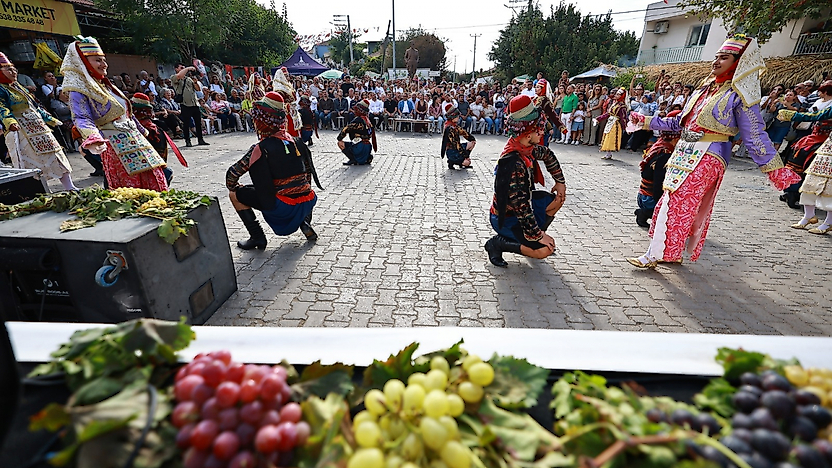 Selçuk'un coğrafi işaretli Osmancık üzümü Gökçealan'da vitrine çıktı
