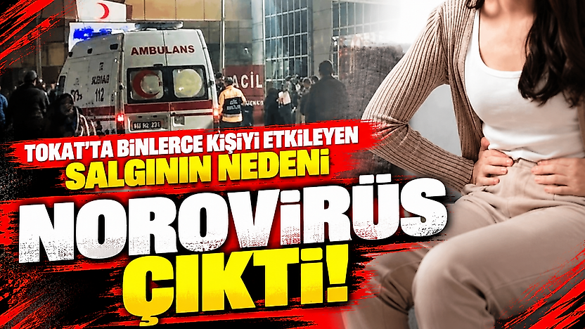 Tokat'ta binlerce kişiyi etkileyen salgının nedeni norovirüs çıktı