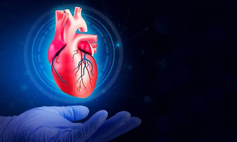 65 yaş sonrası kalp sağlığını korumak için 7 önemli öneri