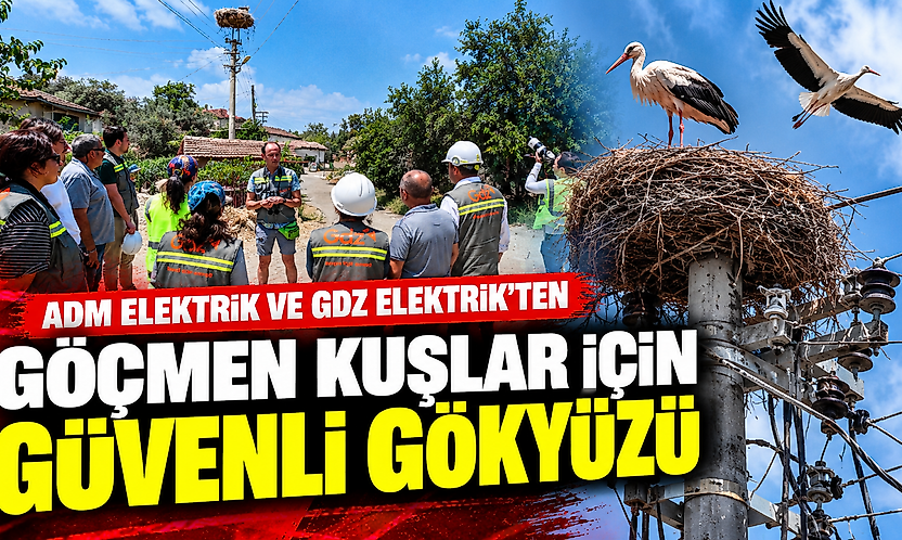 Adm ve Gdz Elektrik'ten göçmen kuşlara güvenli gökyüzü: Riskli alanlar belirlenecek