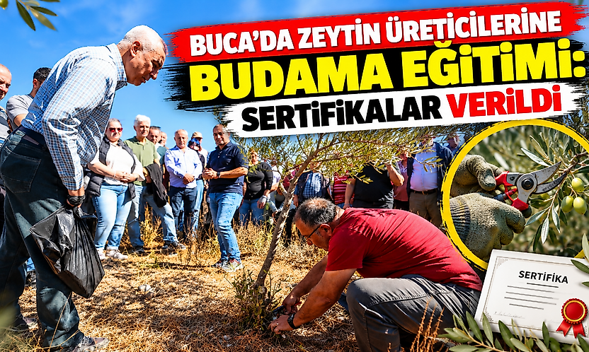 Buca'da zeytin üreticilerine budama eğitimi: Sertifikalar verildi