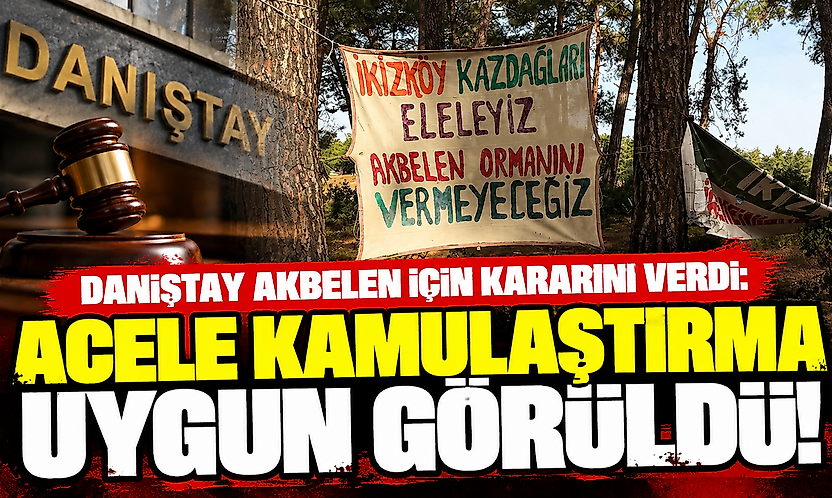 Danıştay Akbelen için kararını verdi: Acele kamulaştırma uygun görüldü!