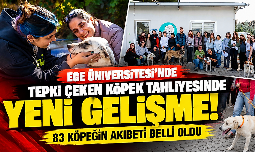 Ege Üniversitesi'nde tepki çeken köpek tahliyesinde yeni gelişme! 83 köpeğin akıbeti belli oldu