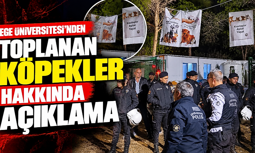 Ege Üniversitesi'nden toplanan köpekler hakkında açıklama