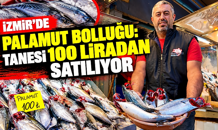 İzmir'de palamut bolluğu: Tanesi 100 liradan satılıyor