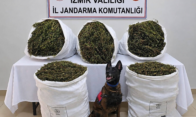 İzmir'de uyuşturucu operasyonu: 54 kilo 800 gram esrar ele geçirildi, 3 kişi tutuklandı