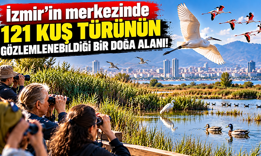 İzmir'in merkezinde 121 kuş türü: Çakalburnu'nda ücretsiz gözlem fırsatı